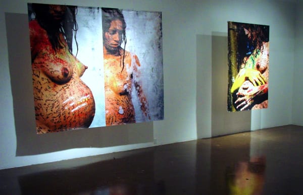 Carlos Betancourt, ( Exhibit view ), Blue Star Art Space, San Antonio, Texas, 2003