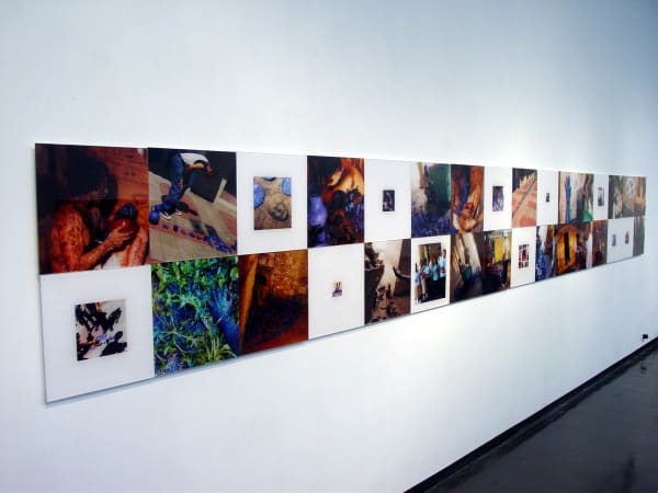 Carlos Betancourt, Interventions with Aracoel Objects Largo Museum, Forida (installation close up of Plexiglas c-print elements), 2002-2003