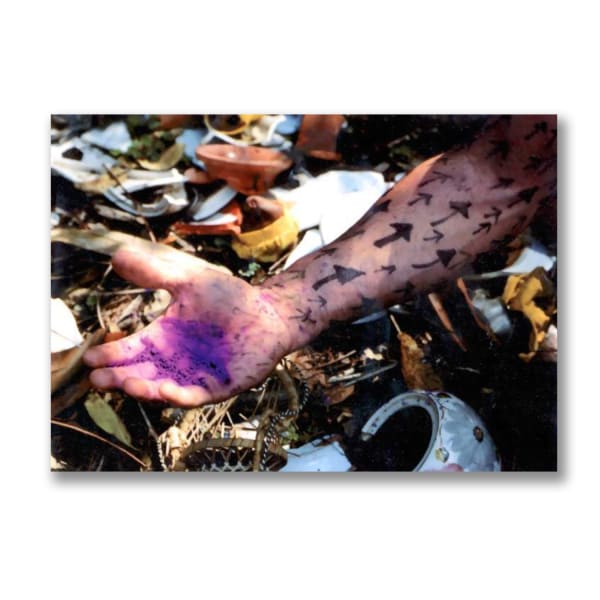 Interventions in Nature II: Una Ceiba en el Rio, 2001