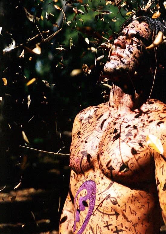 Carlos Betancourt, Hura y Digo III, 2001