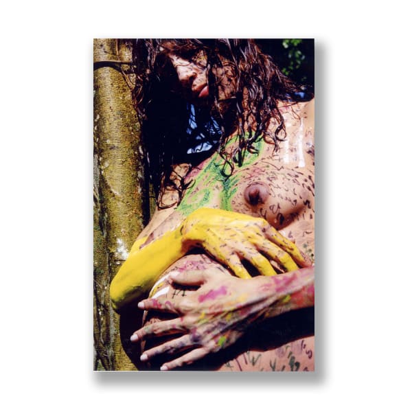 Interventions in Nature Series V, Taina, 2001