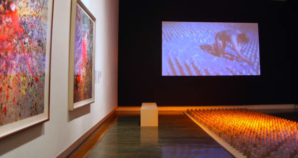 Carlos Betancourt, En La Arena Sabrosa, San Juan, (MACPR exhibit) and performance images), 2015