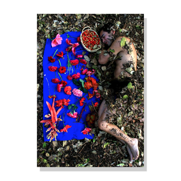 Interventions at Hobe Sound (Jupiter Island) II, 2009