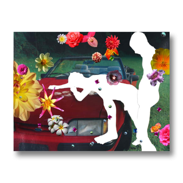 Appropriations: Porno, 2010