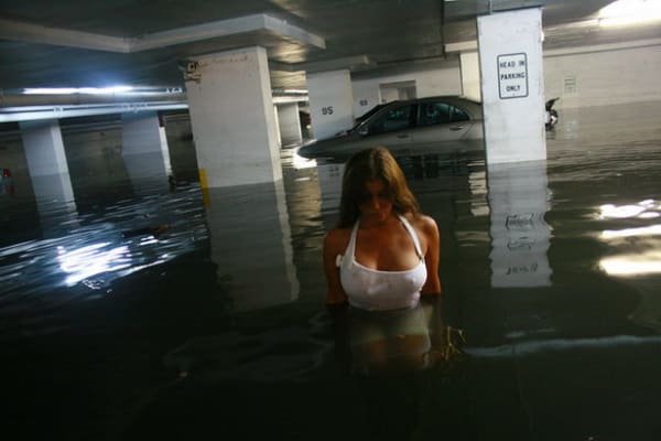 Carlos Betancourt, The Deluge, 2009