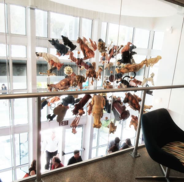 Carlos Betancourt in collaboration with Alberto Latorre, Splendor in the Shelter: Its Raining Cats and Dogs, 2014