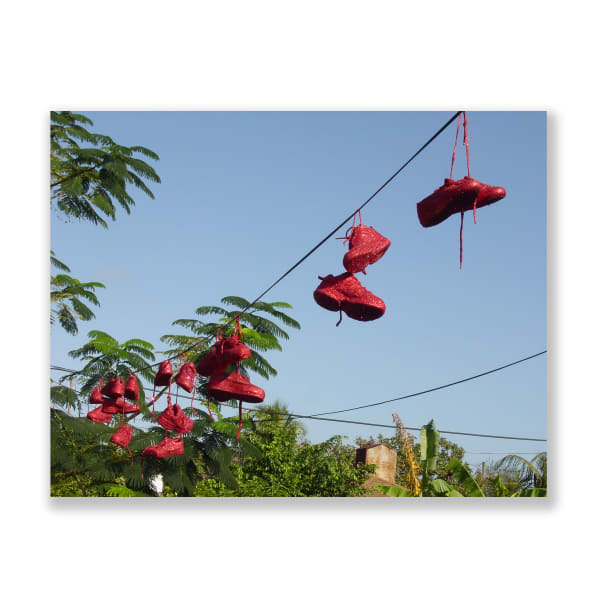 Interventions in Wynwood I and Skateboards, 2003