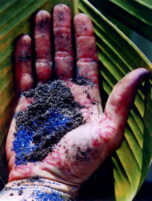 Carlos Betancourt, Worshipping of my Ancestors Series, For Bob and Tibet, 2001