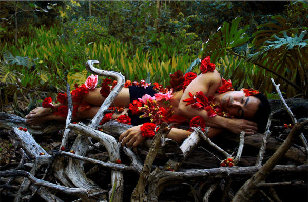 Carlos Betancourt, Albert collecting flowers, II, 2009