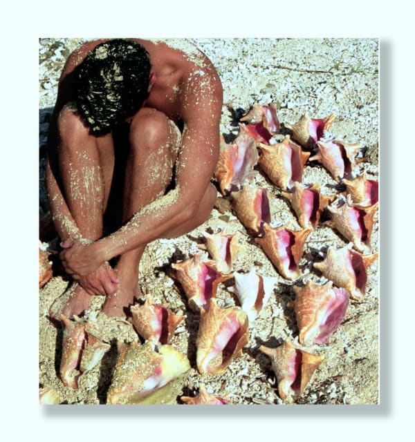 Vieques and Rincon, 2004