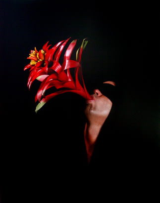 Carlos Betancourt, Back Stories at Hobe Sound Q, 2004