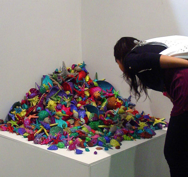 Carlos Betancourt, Re-Collections Seashells installation, 2006