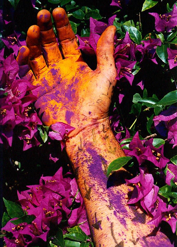 Carlos Betancourt, Intervention in a Delightful Setting, Guada, 2001