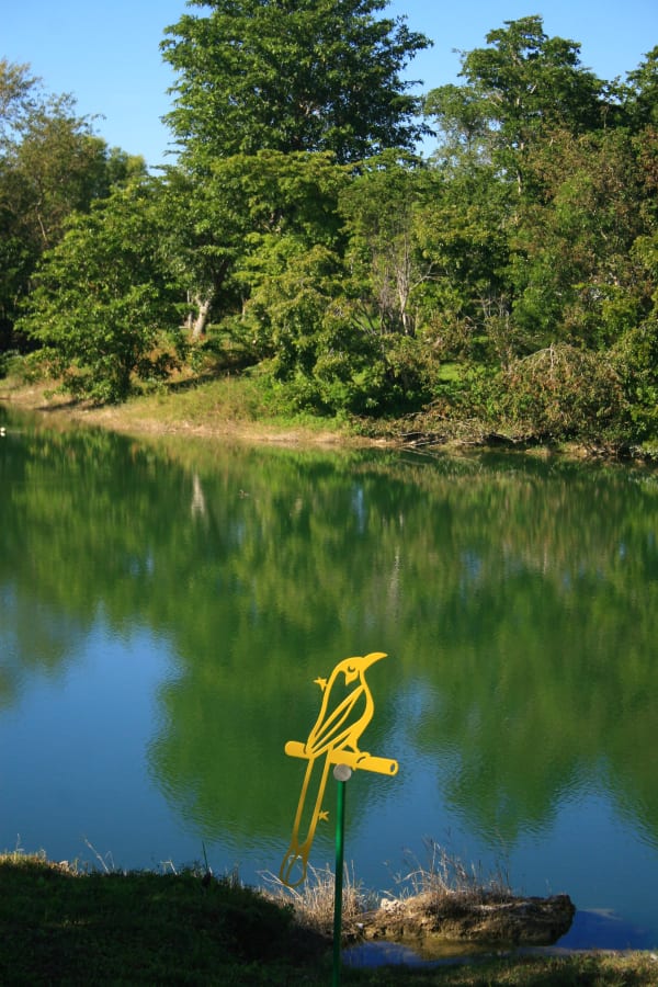 Carlos Betancourt in collaboration with Alberto Latorre, Still Zoo ( public art commission), 2008