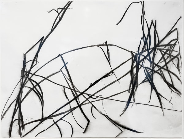 Susan Hartnett, Dec. 14 '92, 1992