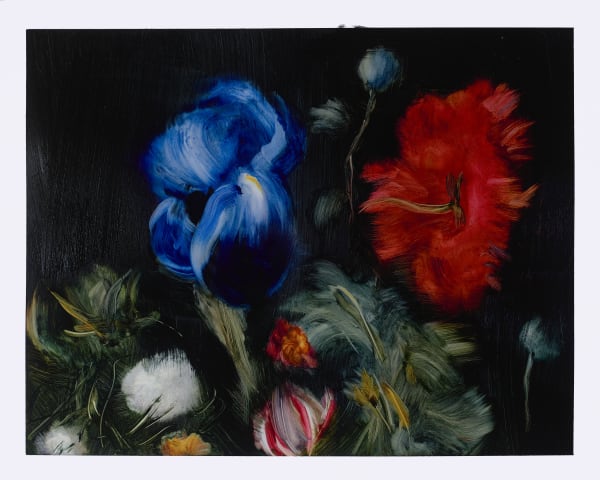 Elise Ansel Iris and Poppies VIII, 2020 oil on paper 16 x 20 inches (sheet) 14 x 18 inches (image) (ANSEL 13)