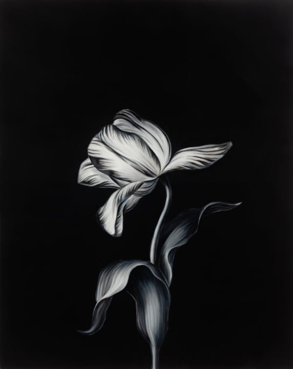 black and white painting of a tulip