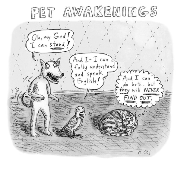 Roz Chast Pet Awakenings, 2021, Aug. 2 ink on paper 7 x 7 inches (image) 11 x 8.5 inches (sheet) (CHAST 327)