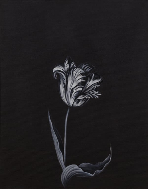 Shelley Reed Tulip (after Marrell), 2021 oil on canvas 20 x 16 inches (REED 3)
