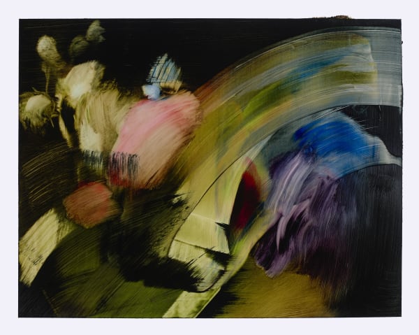 Elise Ansel Iris and Poppies IV, 2020 oil on paper 16 x 20 inches (sheet) 14 x 18 inches (image) (ANSEL 9)