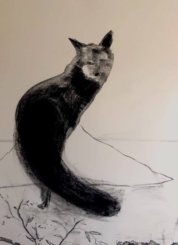 Susan Brearey, Sardinain Fox, 2022, Nov.