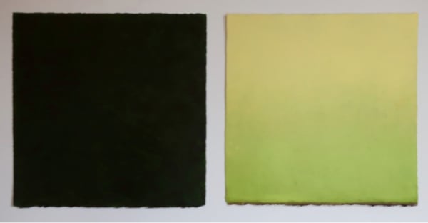 two panel work on paper -- left greenish black, right pale green