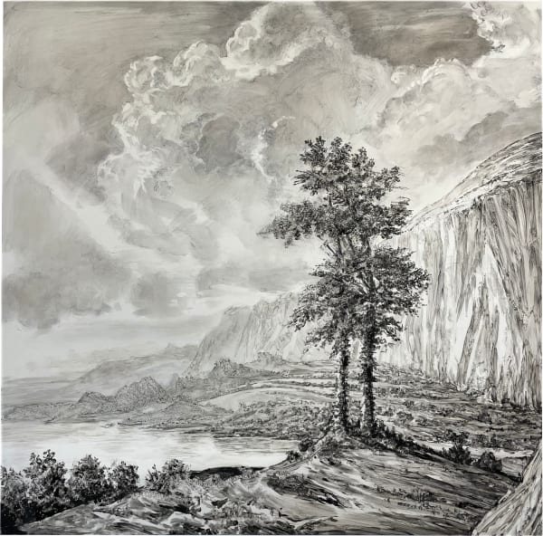 black and white image of trees in landscape