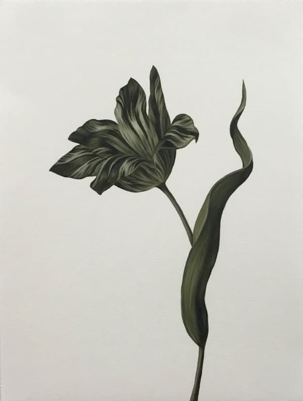 Shelley Reed, Tulip 5 (after Henstenburgh) Winsor Newton Olive Green, 2022