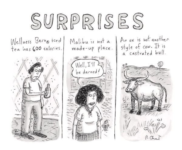 In three panels; a man looking at a bottle of iced tea; a woman standing with her hands on her hips; an ox.
