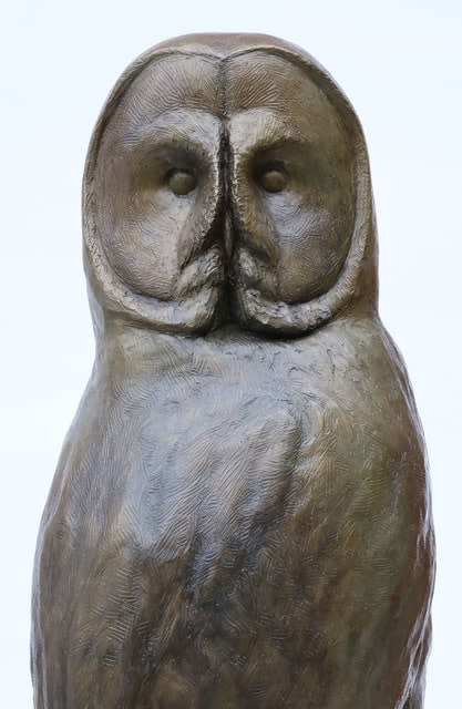 Daniel Murray, Owl, “Green Gray