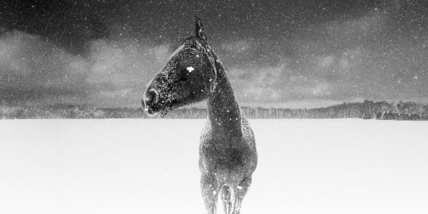 “First day back", photograph by American artist Jason M. Peterson. Available at Carousel Fine Art.