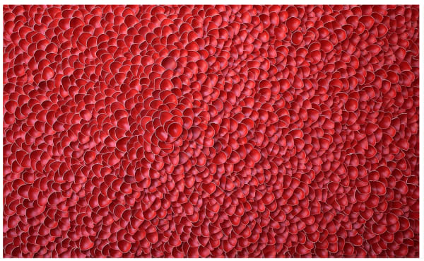 Larisa Safaryan, Blooming, 2019