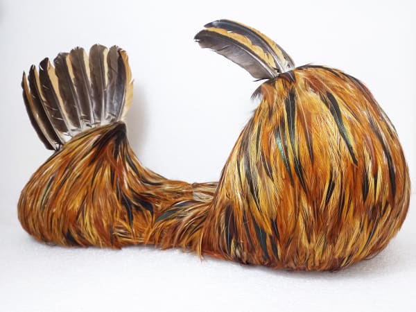duas cabeças, 2019
