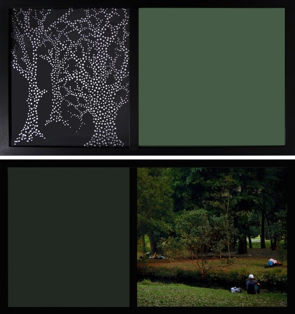 The Garden - from the series “Paradises“, July 2010, São Paulo, 2010