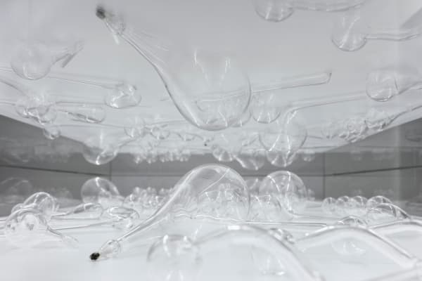 Musical score (thirty seconds of silence)
