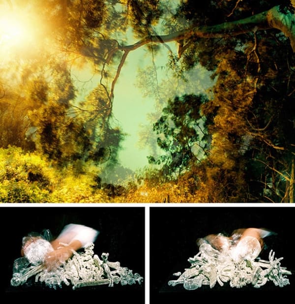 Still Life with Forest, 2006/7