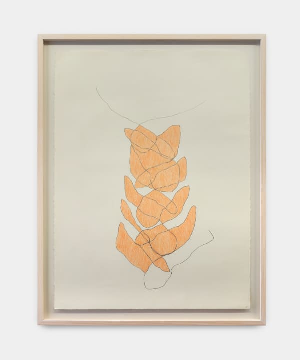 Untitled, from the series Study of Repetitive Movements