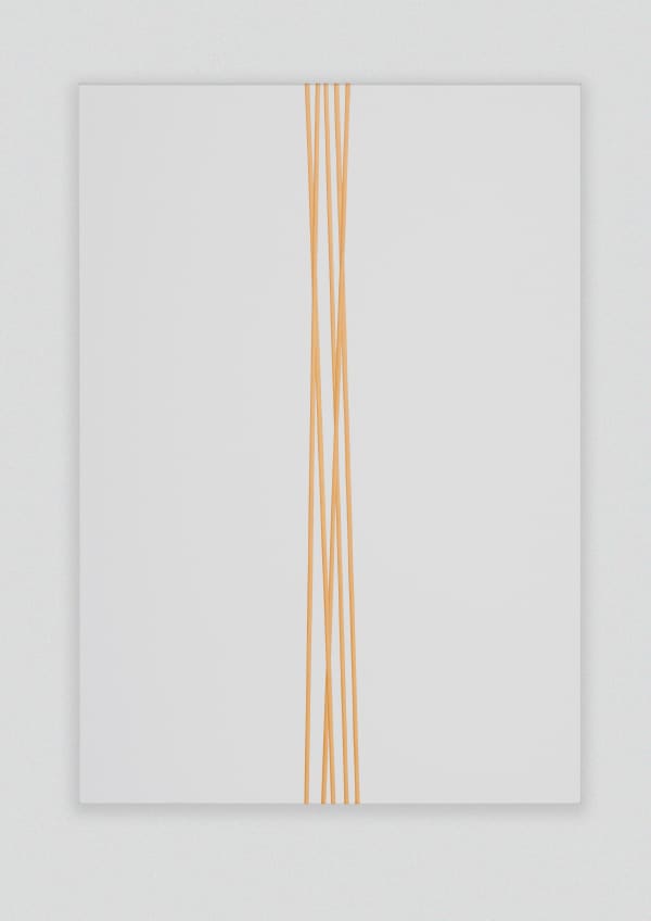 Untitled (longitudinal golden bars IV), 2010
