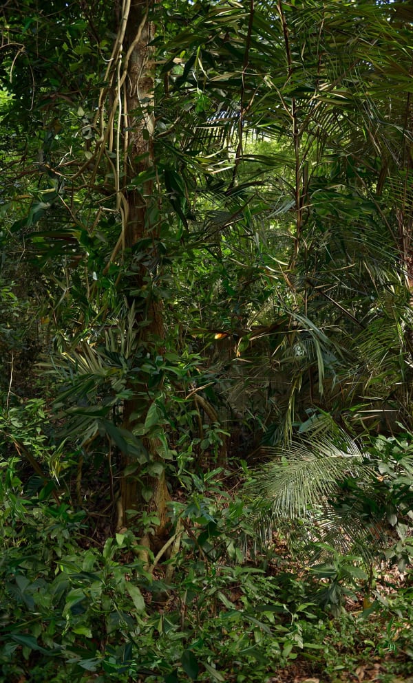 from the series Landscape Crystallization, June 2014, Rio de Janeiro, 2015