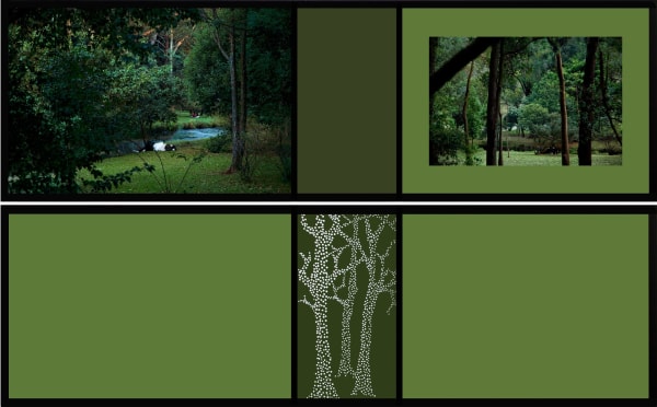 The Garden - from the series “Paradises“, July 2010, São Paulo, 2010