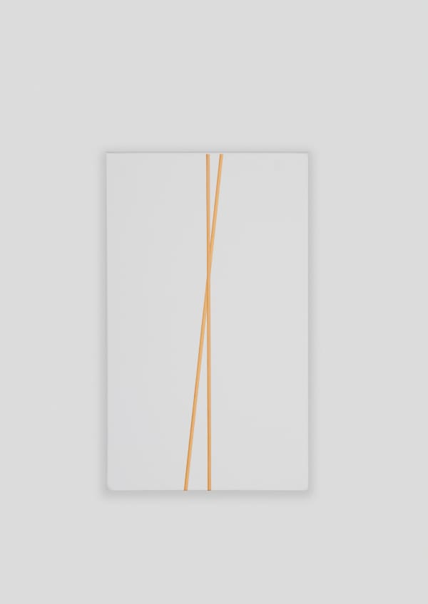 Untitled (longitudinal golden bars V), 2010