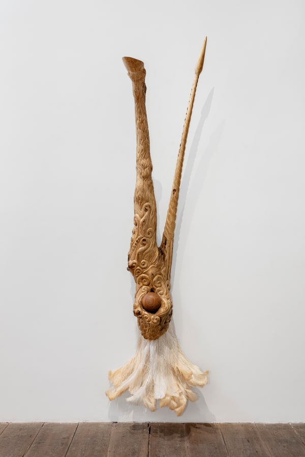 dragão, 2023