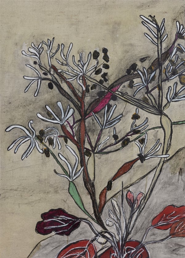 Allien Desert Trumpet