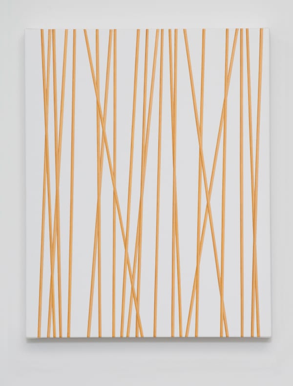 Untitled (longitudinal golden bars I), 2010