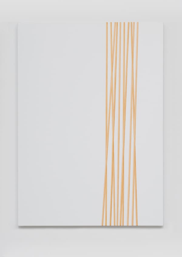 Untitled (longitudinal golden bars II), 2010