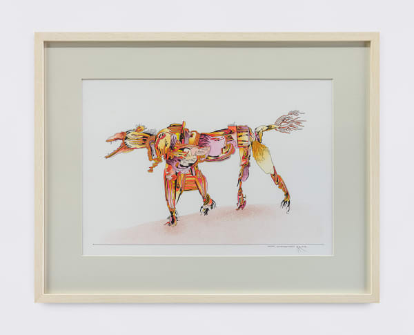 Animal Extraordinário, 2018