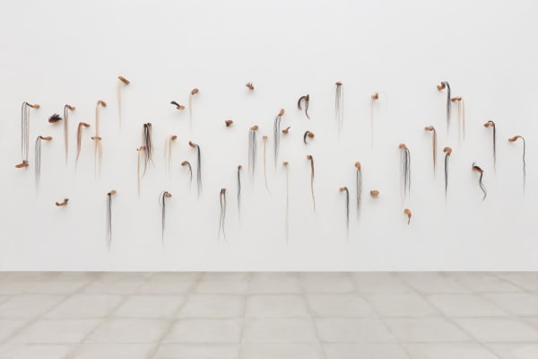 série língua (painel), 2019-2023
