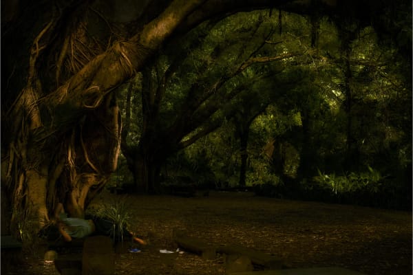 from the series Landscape Crystallization, Parque da Luz, 2018
