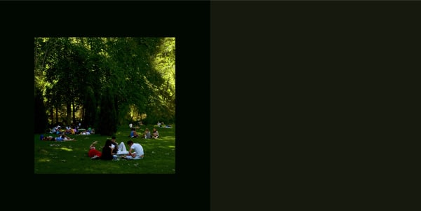 from the series: “The garden – Picnic II”, 2010