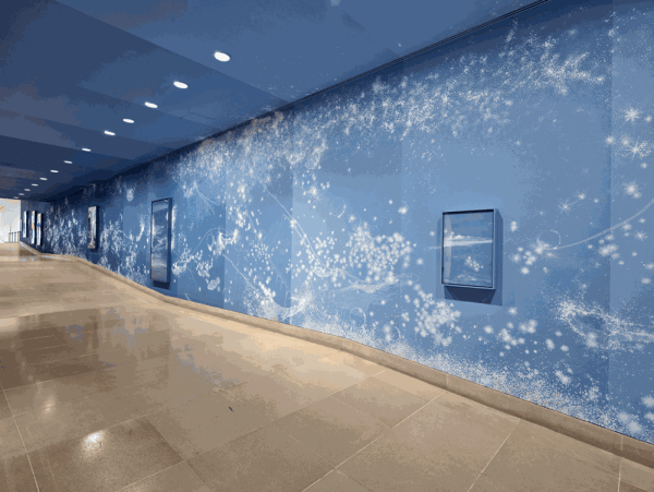 Landscape of a Lifetime